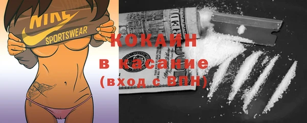 стаф Алексин