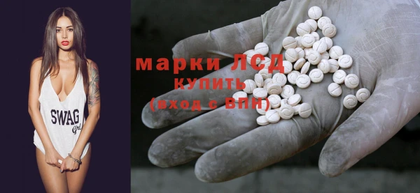стаф Алексин