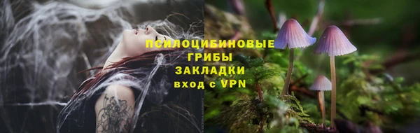 стаф Алексин