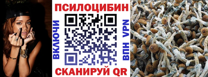 Галлюциногенные грибы прущие грибы  Порхов 